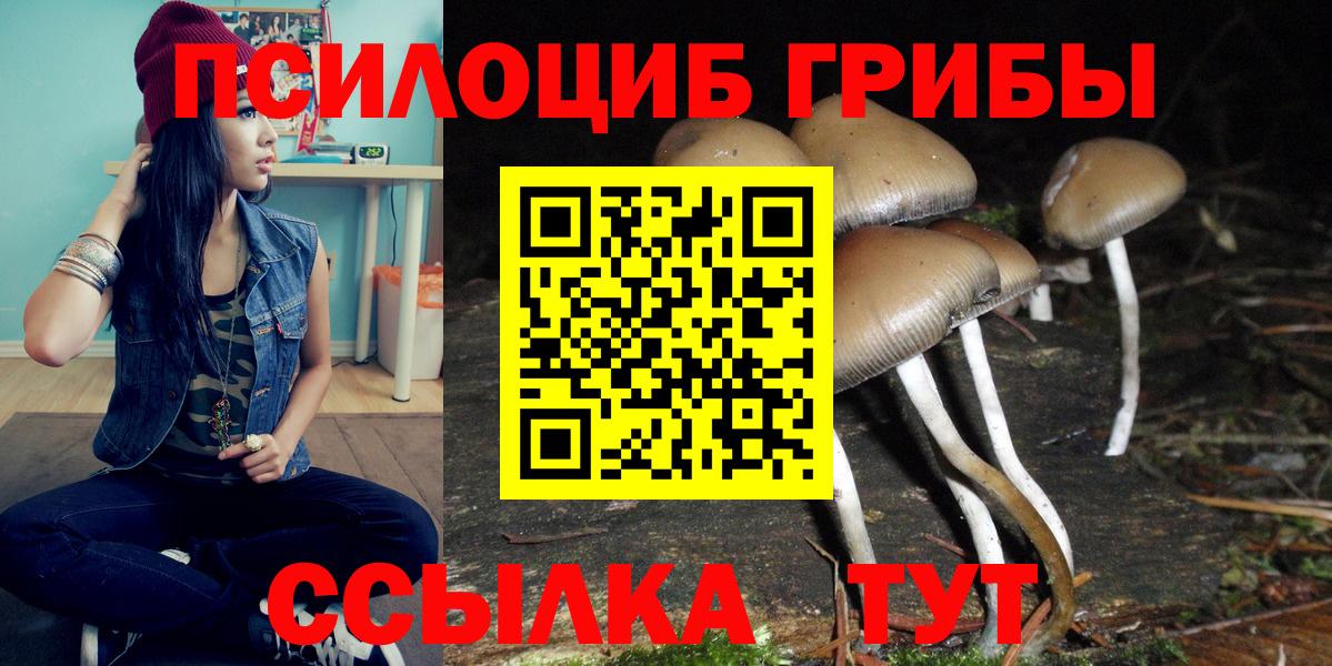 Кондопога  Галлюциногенные грибы Cubensis  Вход с VPN 