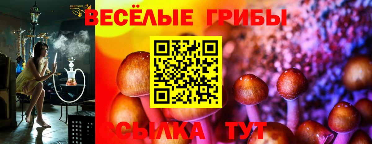 Галлюциногенные грибы Magic Shrooms Кондопога